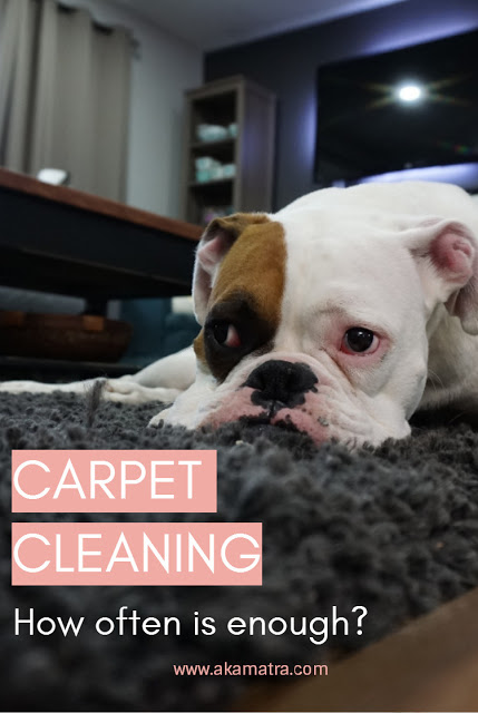 How Frequently Should You Have Your Carpet Cleaned?