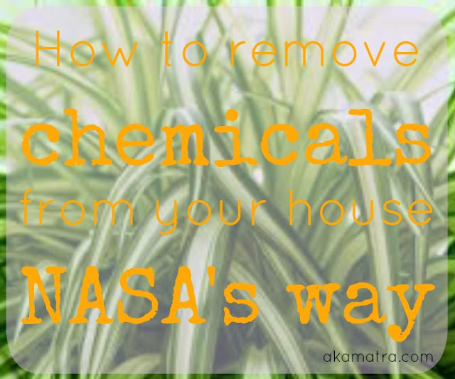 How to remove chemicals from your house NASA's way
