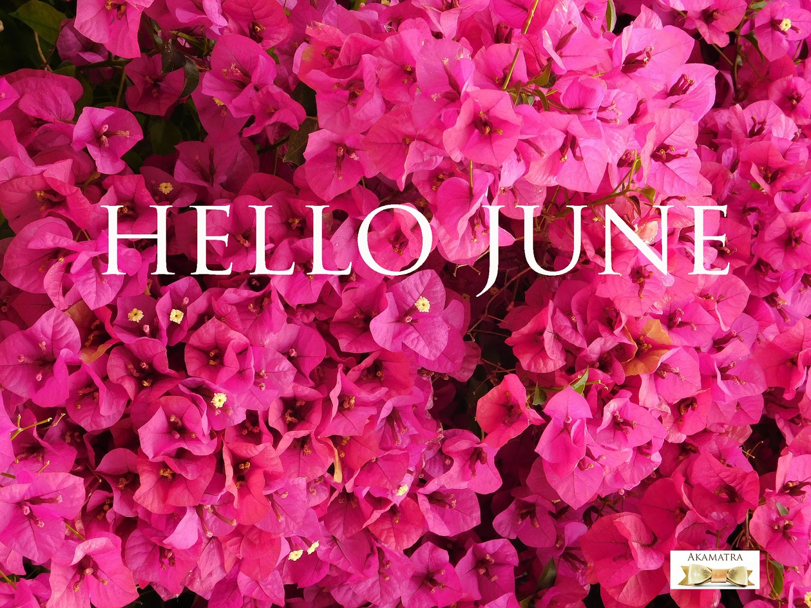 Hello june картинка