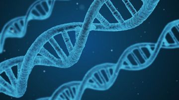 dna-1811955_1280.jpeg